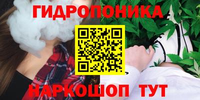 гашик Рыбинск